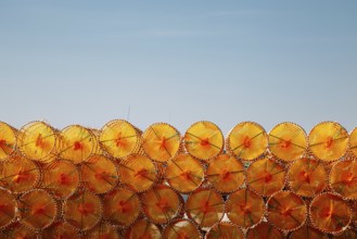Stacked orange fishing trap net at BaeksaJang port in Anmyeondo Island, Taean, Korea