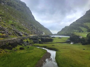 Dramatic scenery in Killarney National Park. Killarney National Park, near the town of Killarney,