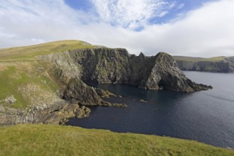 Cliff face, Mainland, Shetland Islands, Scotland, United Kingdom, Europe