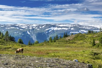 Beautiful landscape in Norway with Summer weather and sunshine. Beautiful landscape in Norway with
