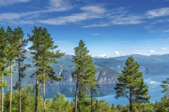 Beautiful landscape in Norway with Summer weather and sunshine. Beautiful landscape in Norway with