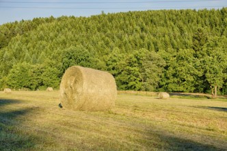 Evening mood over a summer landscape