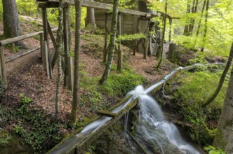 Old abandoned mill in the Plötz Gorge near Salzburg, Austria, Europe