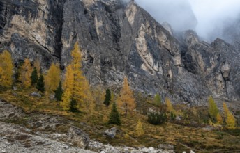 Breathtaking views of the Mountain peaks of Langkofel or Saslonch, mountain range in the dolomites