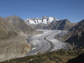 Curved Aletsch Glacier, Unesco World Heritage Site