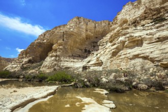 The walls of the gorge are corroded by caves. Start route. Israel. The ravine is formed by the