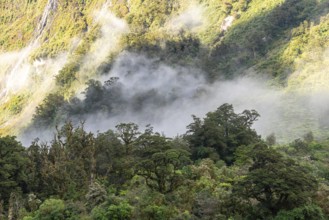 A new morning dawning at Doutful Sound, clouds hanging low in the mountains, South Island of New