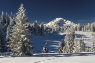 Winter landscape picture from tannheimer valley mountain pirschling and schönkahler with fresh snow