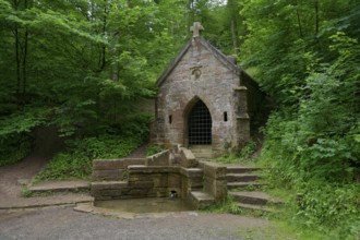 Historic Köpferbrunnen fountain in the Köpfer Valley nature reserve, water fountain, fountain,