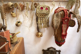 Esparto halfah grass used for crafts as cords basketry and espadrilles