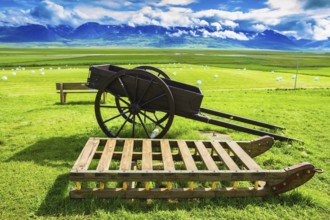 Old wooden sledge and two-wheeled cart on the lawn. The reconstituted village - Museum Vikings in