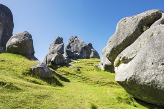An image of a landscape scenery at Castle Hill New Zealand