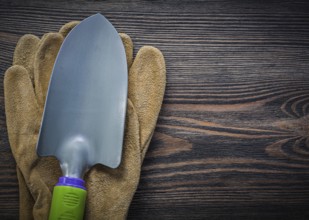 Metal trowel protective gloves on wooden board gardening concept