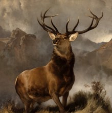The Monarch of the Glen by Sir Edwin Landseer, Scottish National Gallery, Edinburgh, Scotland,