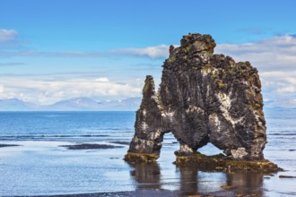 Ancient extinct volcano Hvitserkur on the sea shelf. Stone mammoth Iceland