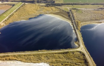 Offstein sewage ponds, ponds of a sugar factory in Rhineland-Palatinate, bird sanctuary, Offstein