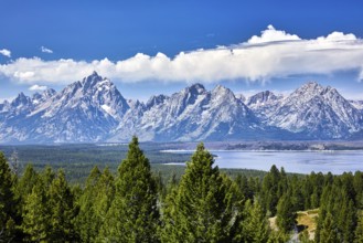 Grand Teton National Park. Wyoming. United States