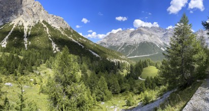 Passo di Fraéle, rear entrance to Val Mora, Valdidentro, Lombardy, Italy, Europe