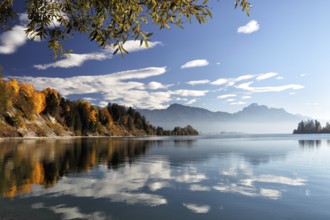 Autumn landscape at the Forggensee in Allgäu, Bavaria, Germany, with view of the Alps. Autumn