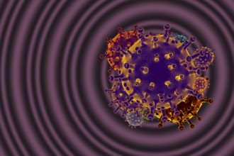 COVID-19 Coronavirus disease outbreak background. Stop spreading Corona virus global pandemic