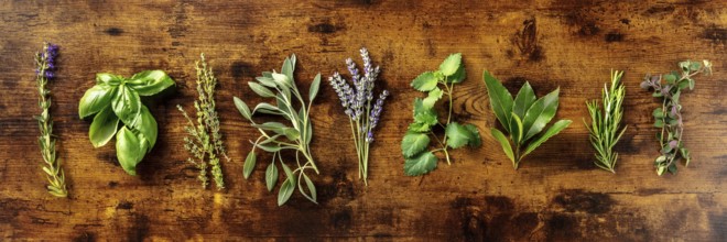 Fresh aromatic herbs, overhead flat lay panorama on a rustic wooden background. Bunches of