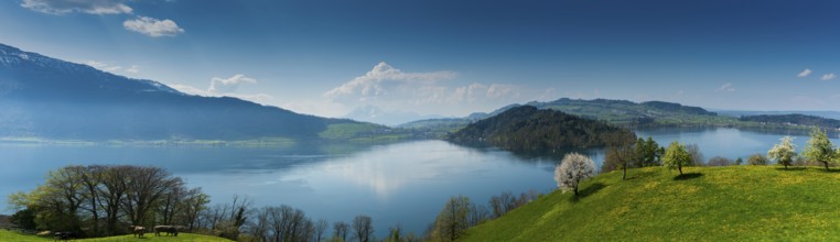beautiful panorama landscape with green fields and blossoming flowers and trees and mountains in