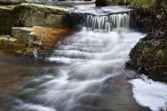 The river Ilse at the foot