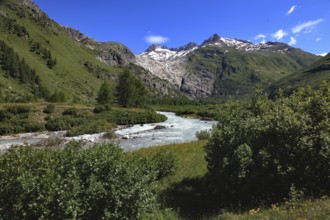 A clear river flows through a green valley, surrounded by wooded mountain slopes and snow-capped