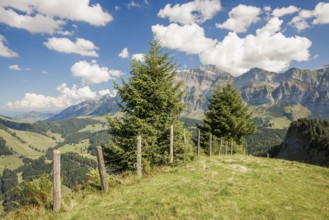 Meadow with trees, mountains in the background and clouds in the sky, Spicher with view to the
