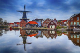 Windmill and traditional houses in Haarlem, Holland, Netherlands