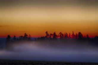 Evening sunset in the Harz Mountains
