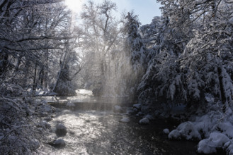 Waterfall at the Eisbach, winter with snow in the southern part of the English Garden, Munich,