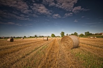 stubble field with straw bales