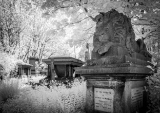 Graves in Highgate Cemetery London in black and white