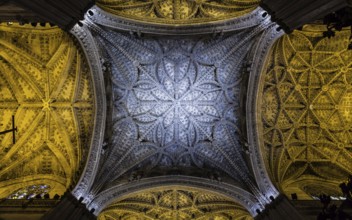 Plenty of interesting details in this Seville Spain Cathedral Interior - 400 years old