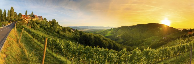 Landscape panorama of vineyard on an Austrian countryside with a church in the background in