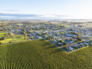 Autumn sunset around the rural country town of Penola in the Coonawarra wine region in South