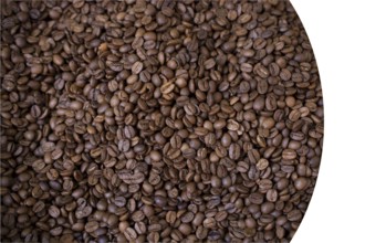 Pile of coffee beans. Coffee beans isolated on background. Love coffee concept
