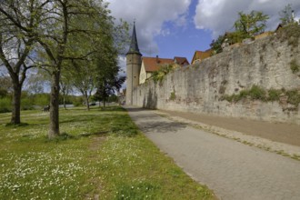 Historic town centre of Karlstadt, Main-Spessart district, Lower Franconia, Bavaria, Germany,