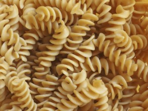 Wholemeal fusilli pasta food