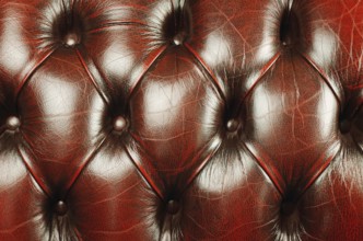 Close Up Fragment Of Genuine Leather Upholstery