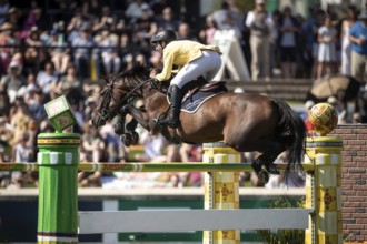 Yuri Mansur of Brazil and riding QH Alfons Santo Antonio compete in the first round of the 1.60m