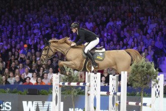 Philipp Schulze Topphoff of Germany competes in 1.60m FEI Jumping World Cup at Jumping Amsterdam in