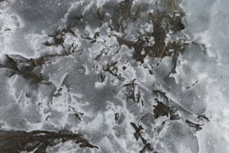 Nature, melting ice pattern, Province of Quebec, Canada, North America