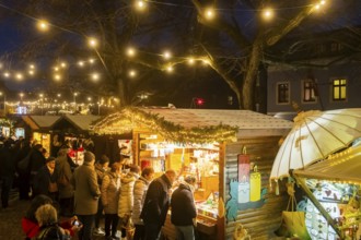 Christmas market on the village green Altkötzschenbroda Radebeul, Saxony, Germany, Europe