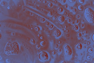 Air bubbles inside water base form patterns