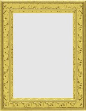 Vector gold frame