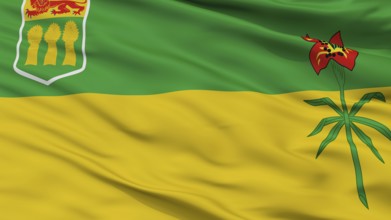 Saskatchewan Province City Flag, Country Canada, Closeup View