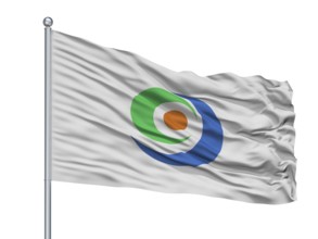 Tamana City Flag On Flagpole, Country Japan, Kumamoto Prefecture, Isolated On White Background