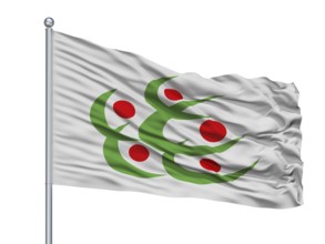 Kitakata City Flag On Flagpole, Country Japan, Fukushima Prefecture, Isolated On White Background